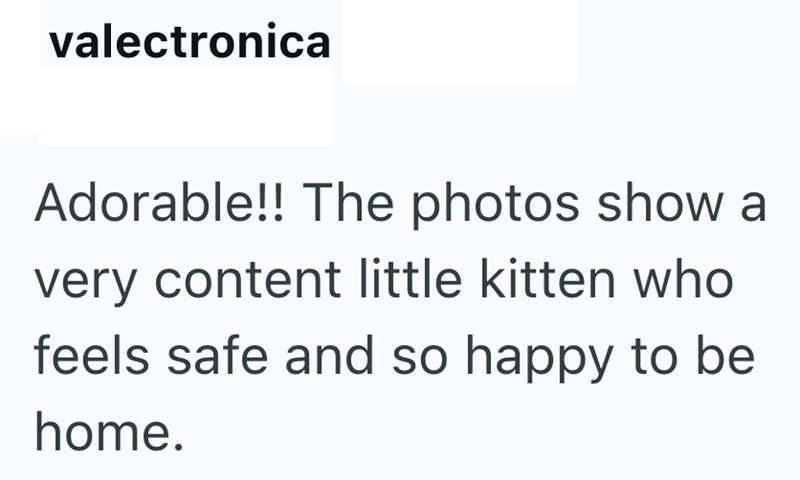 valectronica Adorable!! The photos show a very content little kitten who feels safe and so happy to be home.