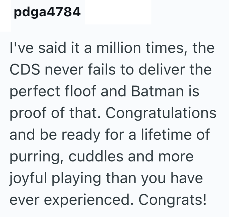 pdga4784 I've said it a million times, the CDS never fails to deliver the perfect floof and Batman is proof of that. Congratulations and be ready for a lifetime of purring, cuddles and more joyful playing than you have ever experienced. Congrats!