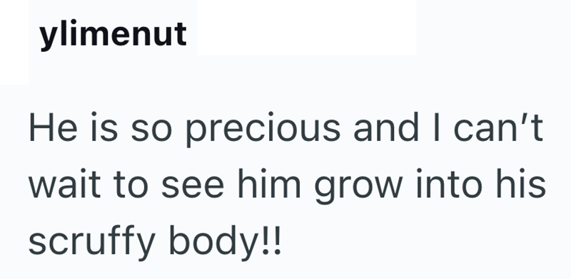 ylimenut He is so precious and I can't wait to see him grow into his scruffy body!!