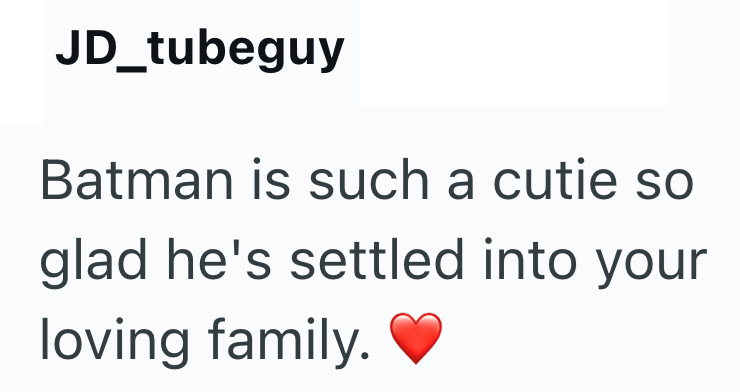 JD_tubeguy Batman is such a cutie so glad he's settled into your loving family.