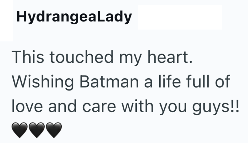 HydrangeaLady This touched my heart. Wishing Batman a life full of love and care with you guys!!