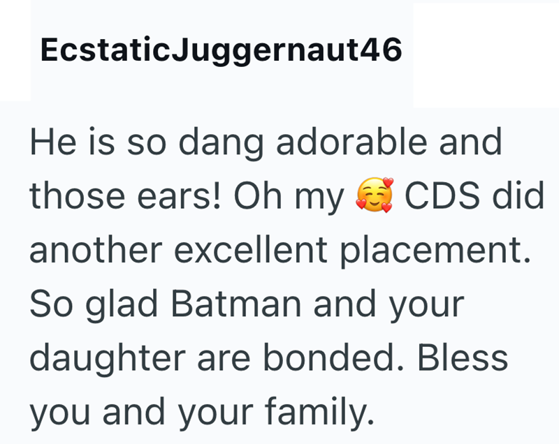 Ecstatic Juggernaut46 He is so dang adorable and those ears! Oh my CDS did another excellent placement. So glad Batman and your daughter are bonded. Bless you and your family.