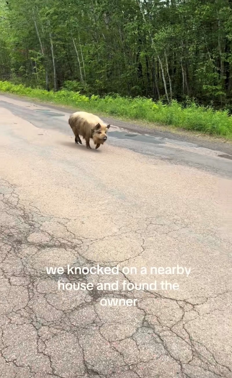 we knocked on a nearby house and found the owner