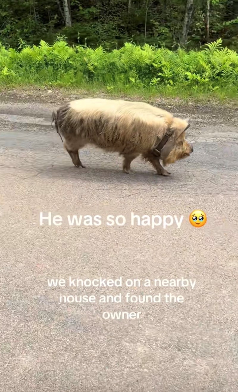 He was so happy 68 we knocked on a nearby house and found the owner