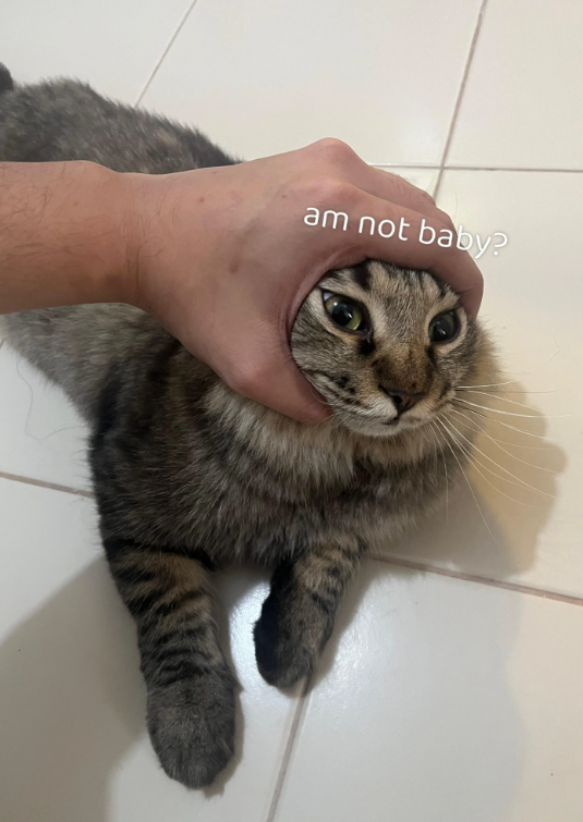 am not baby?