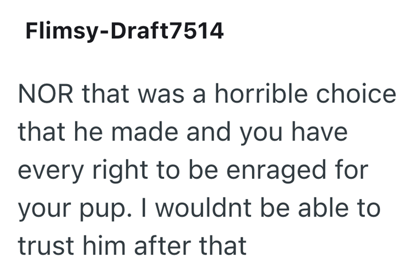 Flimsy-Draft7514 NOR that was a horrible choice that he made and you have every right to be enraged for your pup. I wouldnt be able to trust him after that