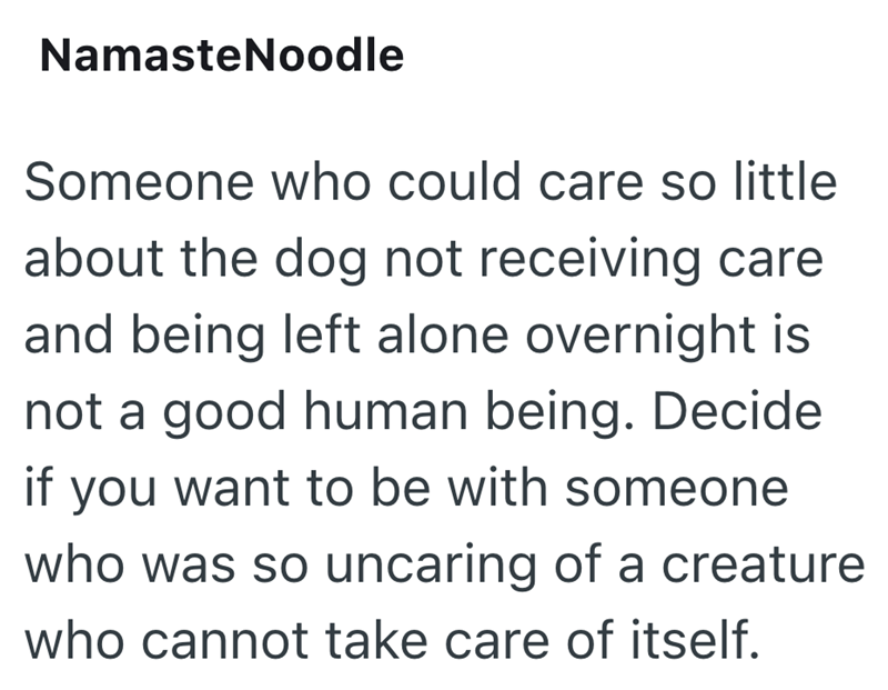 NamasteNoodle Someone who could care so little about the dog not receiving care and being left alone overnight is not a good human being. Decide if you want to be with someone who was so uncaring of a creature who cannot take care of itself.