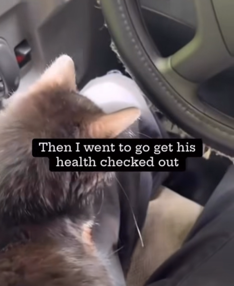 Then I went to go get his health checked out