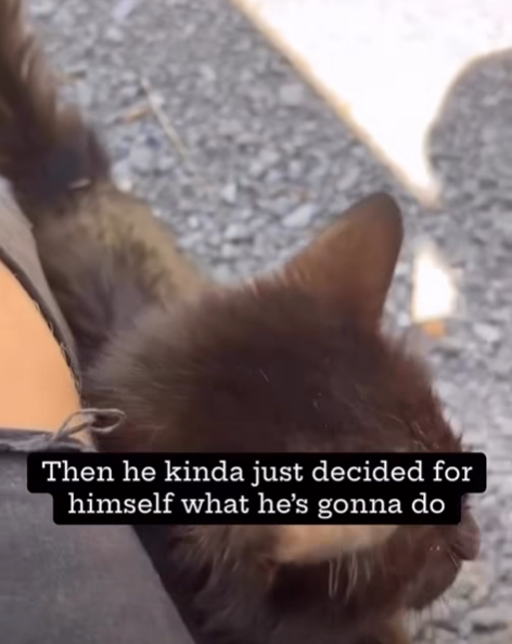 Then he kinda just decided for himself what he's gonna do