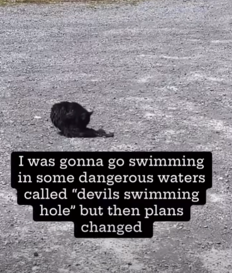 I was gonna go swimming in some dangerous waters called "devils swimming hole" but then plans changed