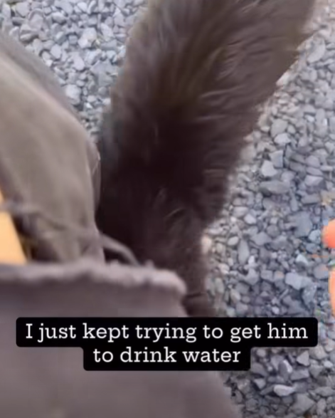 I just kept trying to get him to drink water
