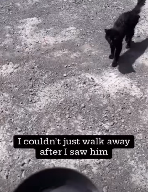 I couldn't just walk away after I saw him