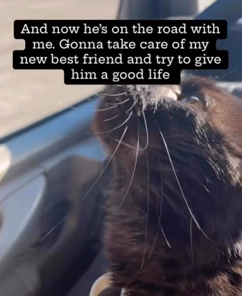 And now he's on the road with me. Gonna take care of my new best friend and try to give him a good life
