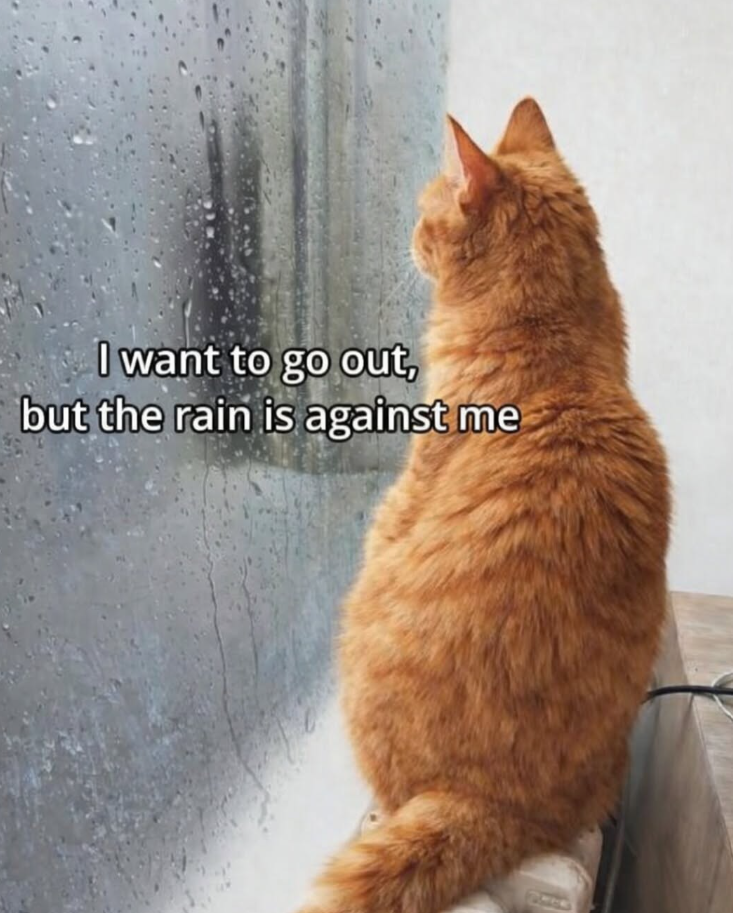 I want to go out, but the rain is against me