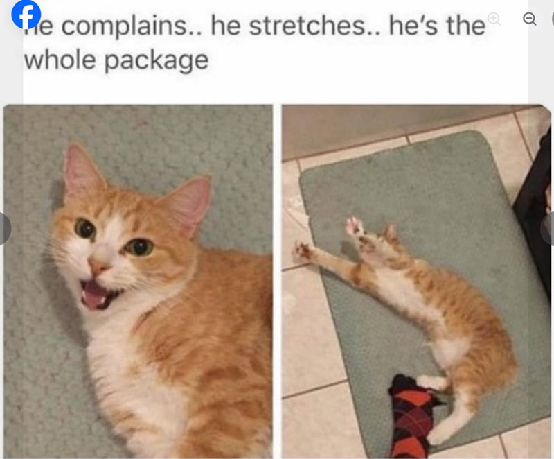 fe complains.. he stretches.. he's the whole package Q