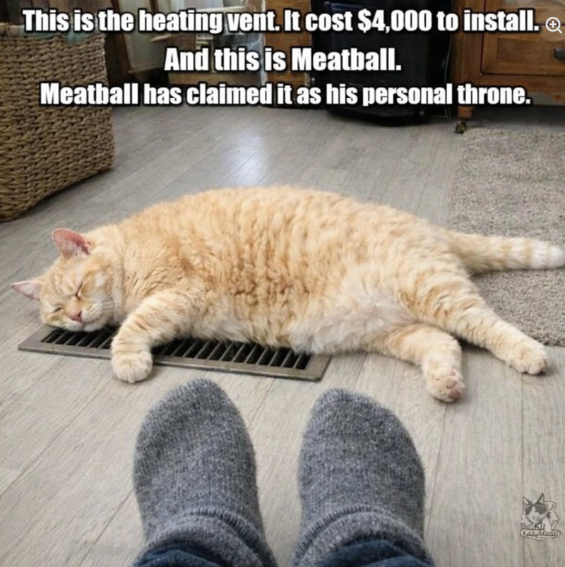 This is the heating vent. It cost $4,000 to install. And this is Meatball. Meatball has claimed it as his personal throne. நானா CAD Aucity