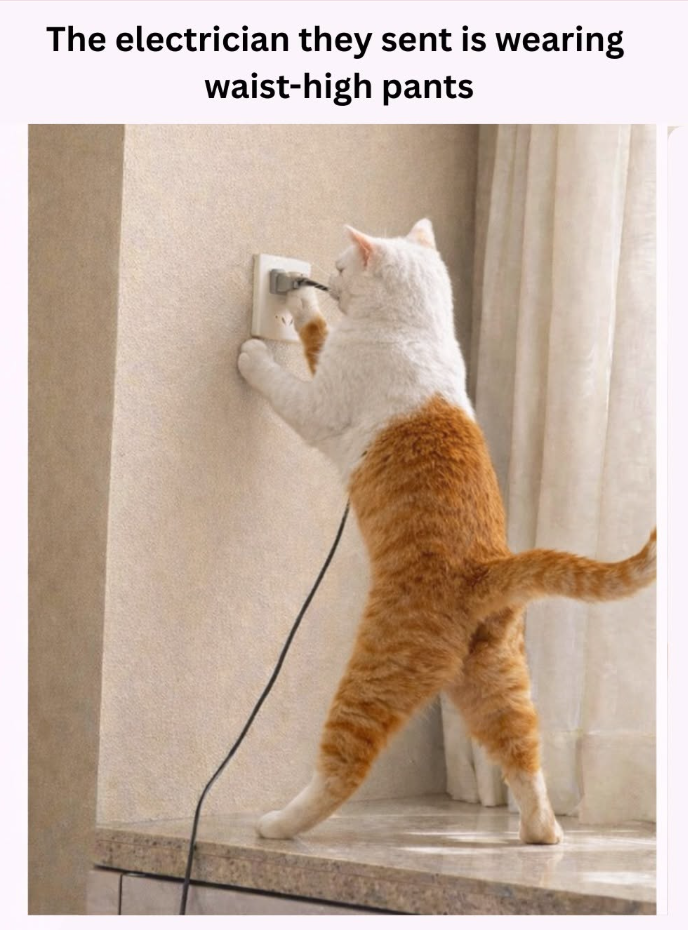 The electrician they sent is wearing waist-high pants