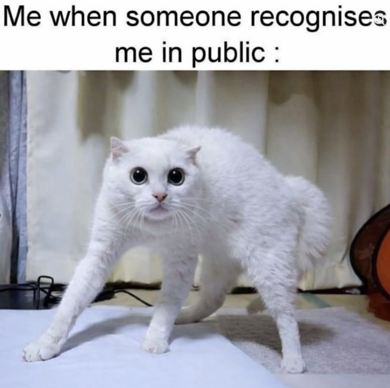 Me when someone recognises me in public: