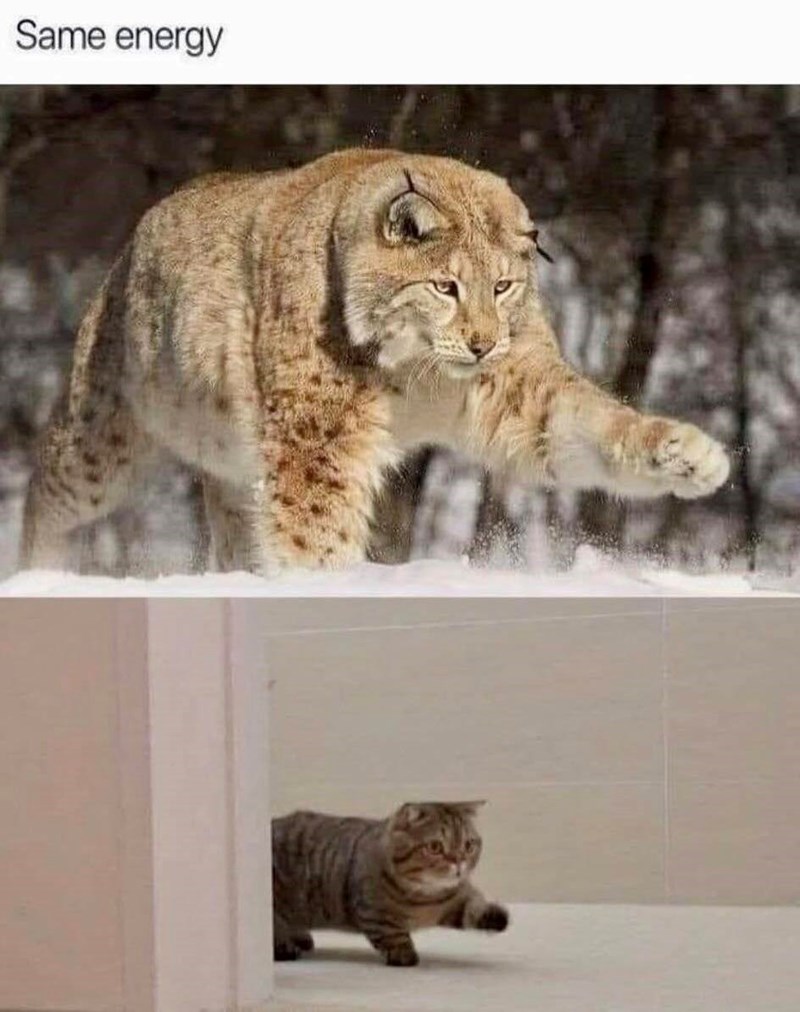 Same energy