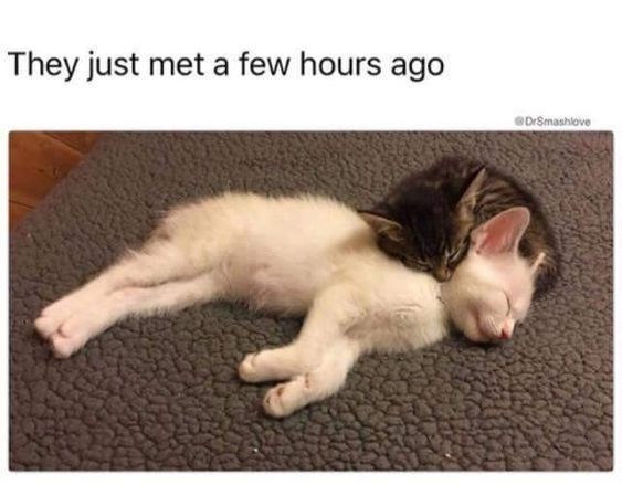 They just met a few hours ago DrSmashlove