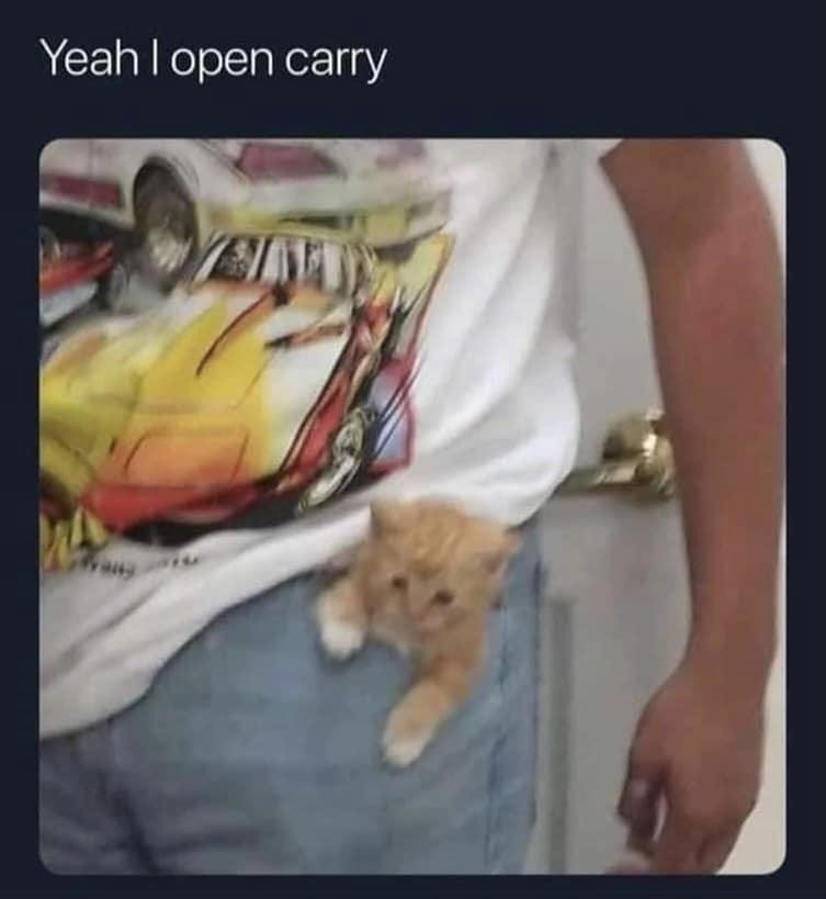 Yeah I open carry