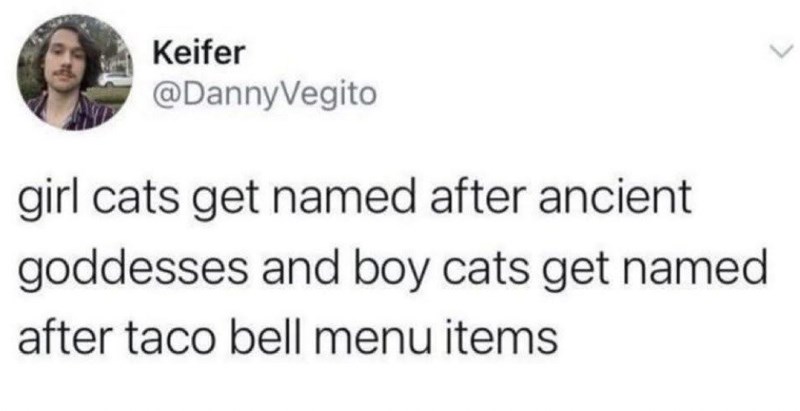 Keifer @DannyVegito girl cats get named after ancient goddesses and boy cats get named after taco bell menu items