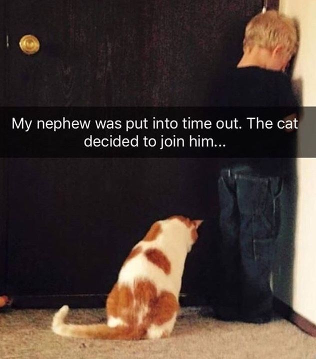 My nephew was put into time out. The cat decided to join him...