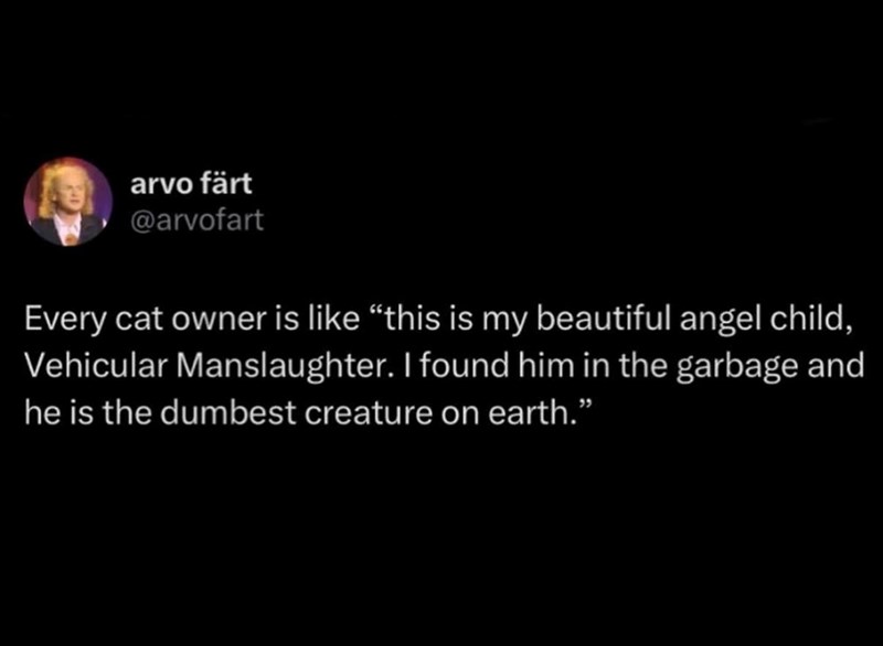 arvo färt @arvofart Every cat owner is like "this is my beautiful angel child, Vehicular Manslaughter. I found him in the garbage and he is the dumbest creature on earth.”