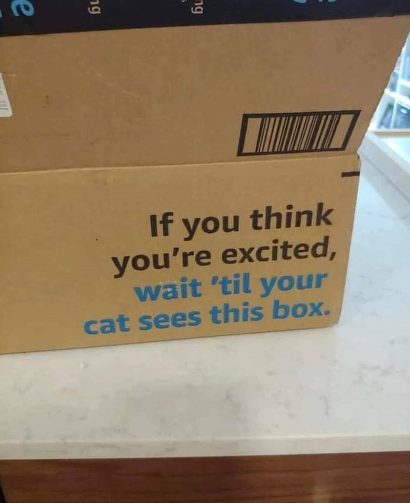 e ng ng If you think you're excited, wait 'til your cat sees this box.