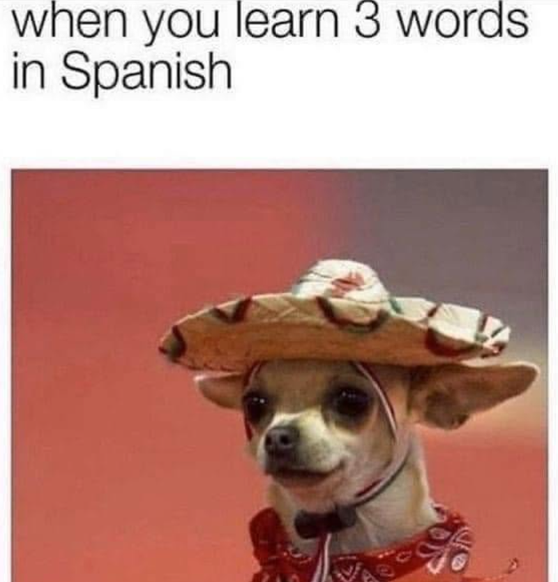 when you learn 3 words in Spanish
