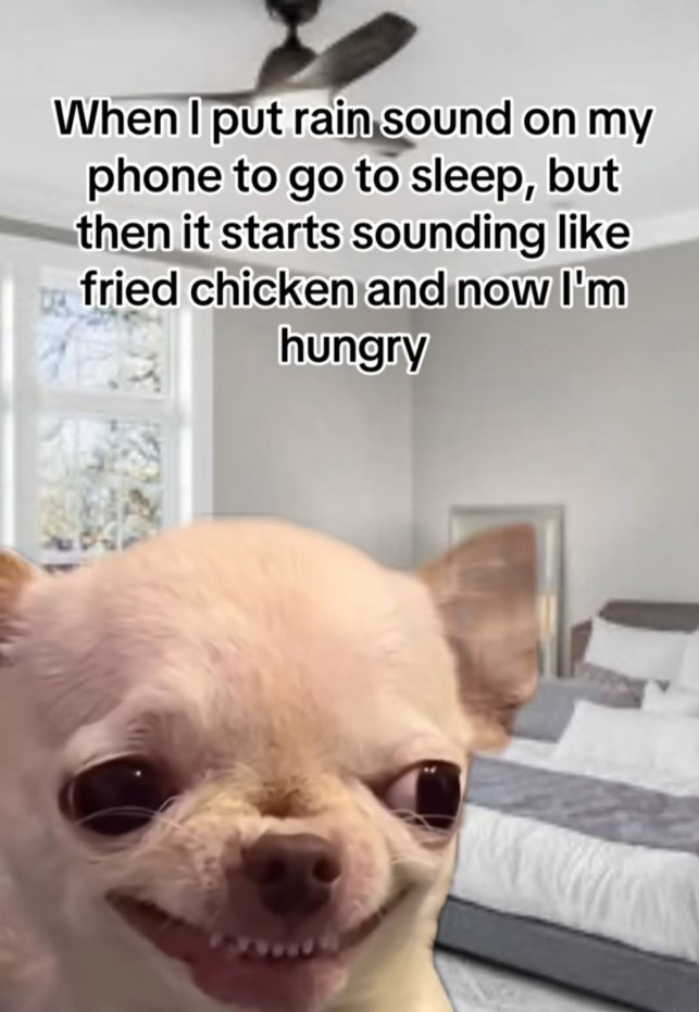 When I put rain sound on my phone to go to sleep, but then it starts sounding like fried chicken and now I'm hungry