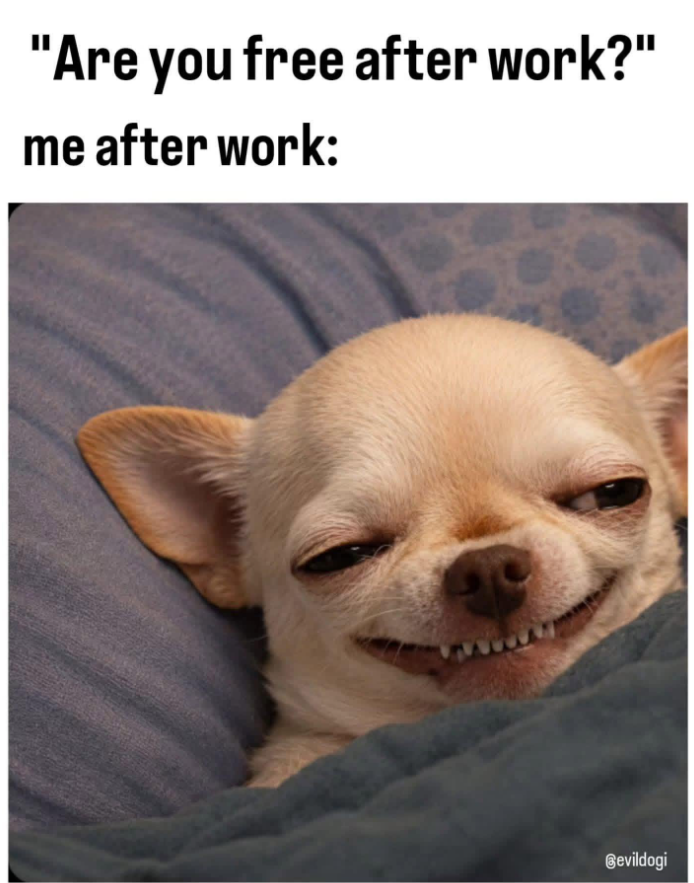 "Are you free after work?" me after work: Bevildogi