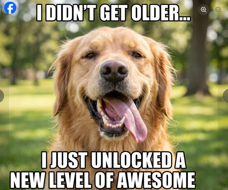 f I DIDN'T GET OLDER... I JUST UNLOCKED A NEW LEVEL OF AWESOME