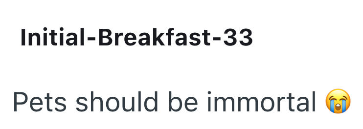 Initial-Breakfast-33 Pets should be immortal