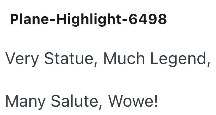 Plane-Highlight-6498 Very Statue, Much Legend, Many Salute, Wowe!