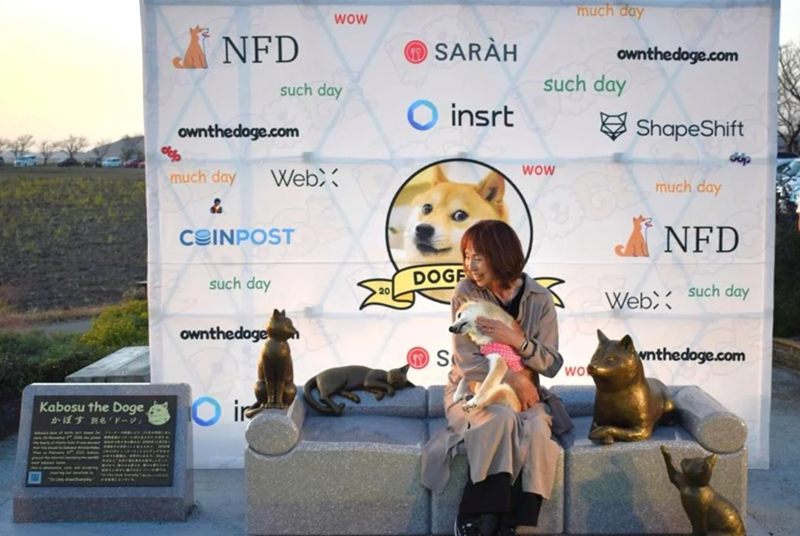 Kabosu the Doge かぼす 別名「ドージ」 NFD WOW such day ownthedoge.com much day WebX & C INPOST much day SARAH ownthedoge.com such day insrt ShapeShift dop WOW much day such day DOGF ownthedoge O ir S wo Web: NFD such day wnthedoge.com