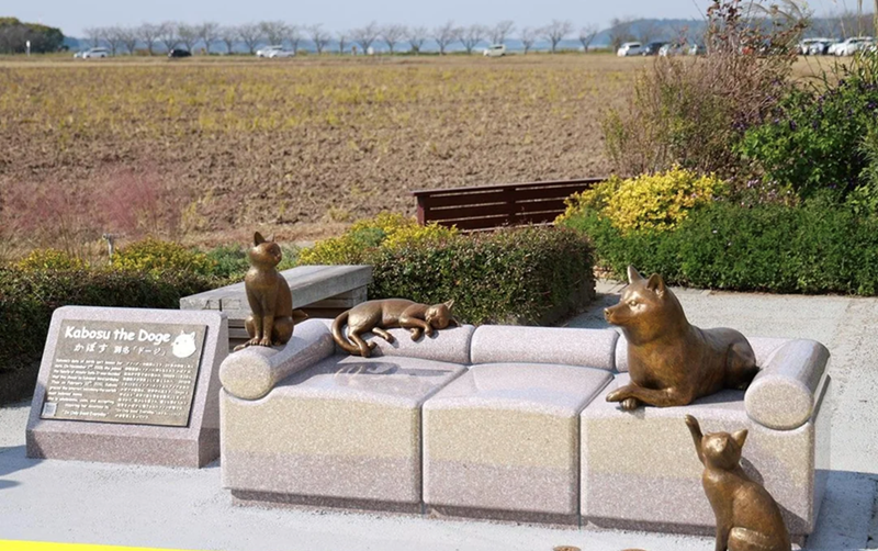 Kabosu the Doge かぼす 別名「ドージ」
