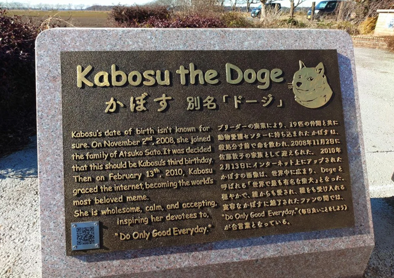 Kabosu the Doge かぼす 別名「ドージ」 Kabosu's date of birth isn't known for ブリーダーの廃業により、19匹の仲間と共に sure. On November 2nd, 2008, she joined the family of Atsuko Sato. It was decided that this should be Kabosu's third birthday. Then on February 13th, 2010, Kabosu graced the internet, becoming the world's most beloved meme. She is wholesome, calm, and accepting. inspiring her devotees to, 回 "Do Only Good Everyday." 動物愛護センターに持ち込まれたかぼすは、 殺処分寸前で命を救われ、2008年11月2日に 佐藤敦子の家族として迎えられた。2010年 2月13日にインターネット上にアップされた 呼ばれる「