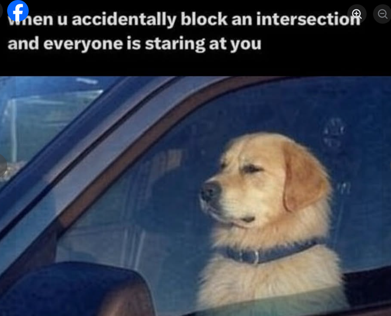 fnen u accidentally block an intersection and everyone is staring at you