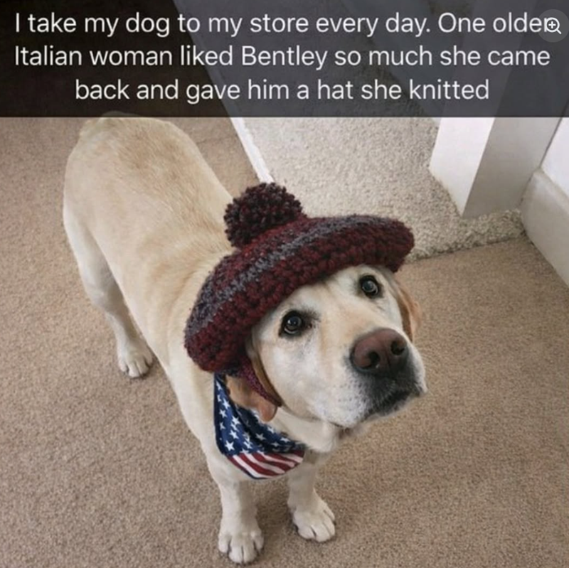 I take my dog to my store every day. One olde Italian woman liked Bentley so much she came back and gave him a hat she knitted