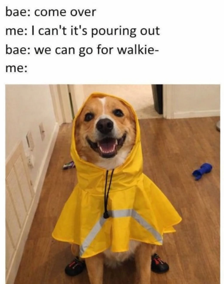 bae: come over me: I can't it's pouring out bae: we can go for walkie- me: