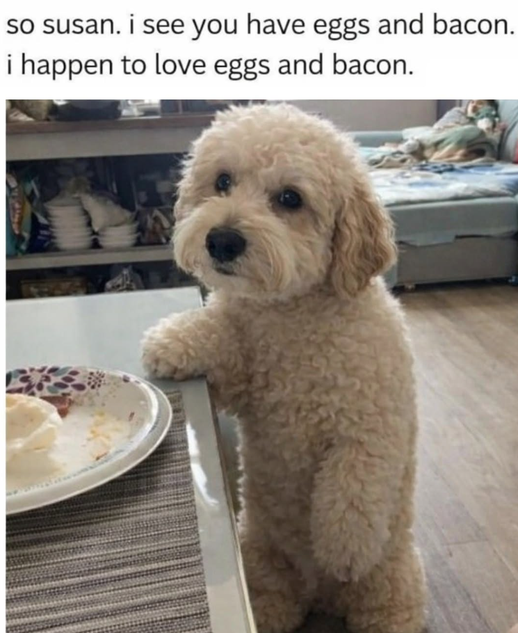 so susan. i see you have eggs and bacon. i happen to love eggs and bacon.