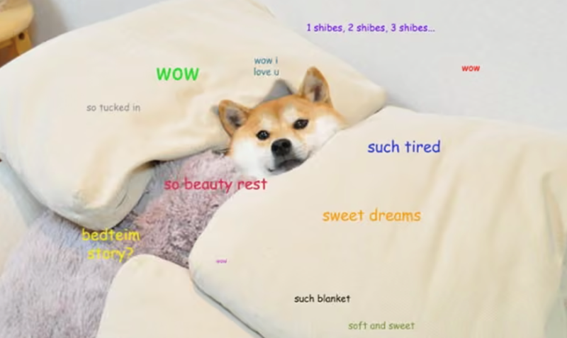 so tucked in bedteim WOW wow i love u 1 shibes, 2 shibes, 3 shibes... such tired so beauty rest sweet dreams such blanket soft and sweet WOW