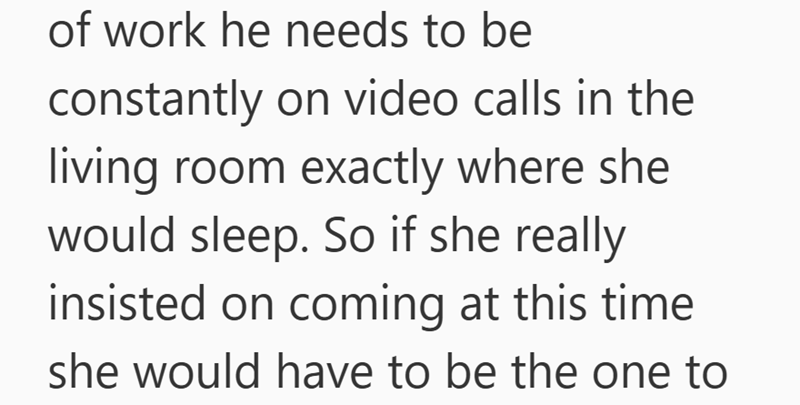 of work he needs to be constantly on video calls in the living room exactly where she would sleep. So if she really insisted on coming at this time she would have to be the one to