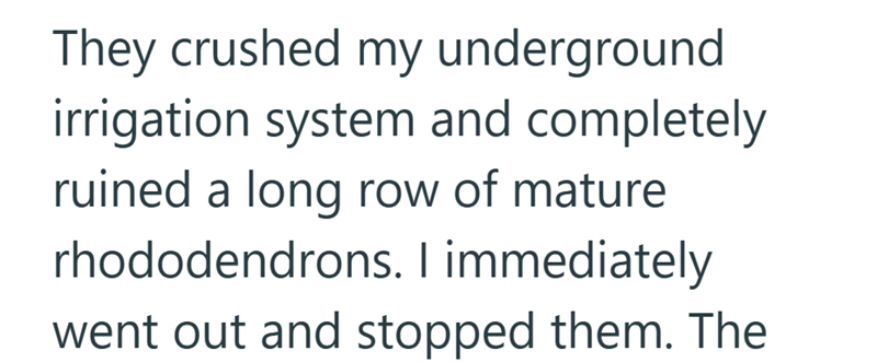 They crushed my underground irrigation system and completely ruined a long row of mature rhododendrons. I immediately went out and stopped them. The