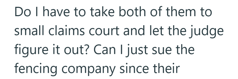 Do I have to take both of them to small claims court and let the judge figure it out? Can I just sue the fencing company since their