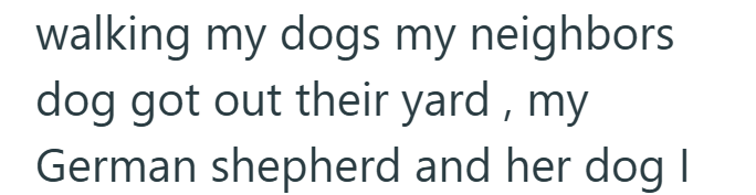 walking my dogs my neighbors dog got out their yard, my German shepherd and her dog |
