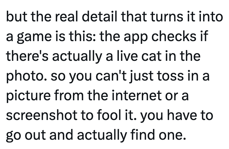 but the real detail that turns it into a game is this: the app checks if there's actually a live cat in the photo. so you can't just toss in a picture from the internet or a screenshot to fool it. you have to go out and actually find one.