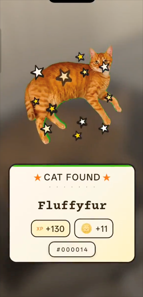 ★ CAT FOUND ⭑ Fluffyfur XP +130 +11 # 000014