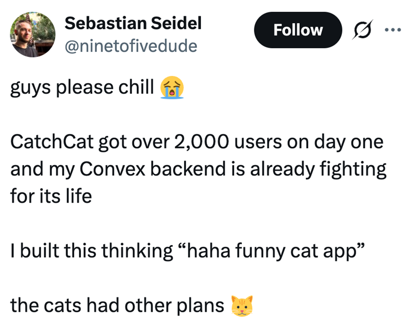 Sebastian Seidel Follow @ninetofivedude guys please chill ÷ Catch Cat got over 2,000 users on day one and my Convex backend is already fighting for its life I built this thinking "haha funny cat app" the cats had other plans